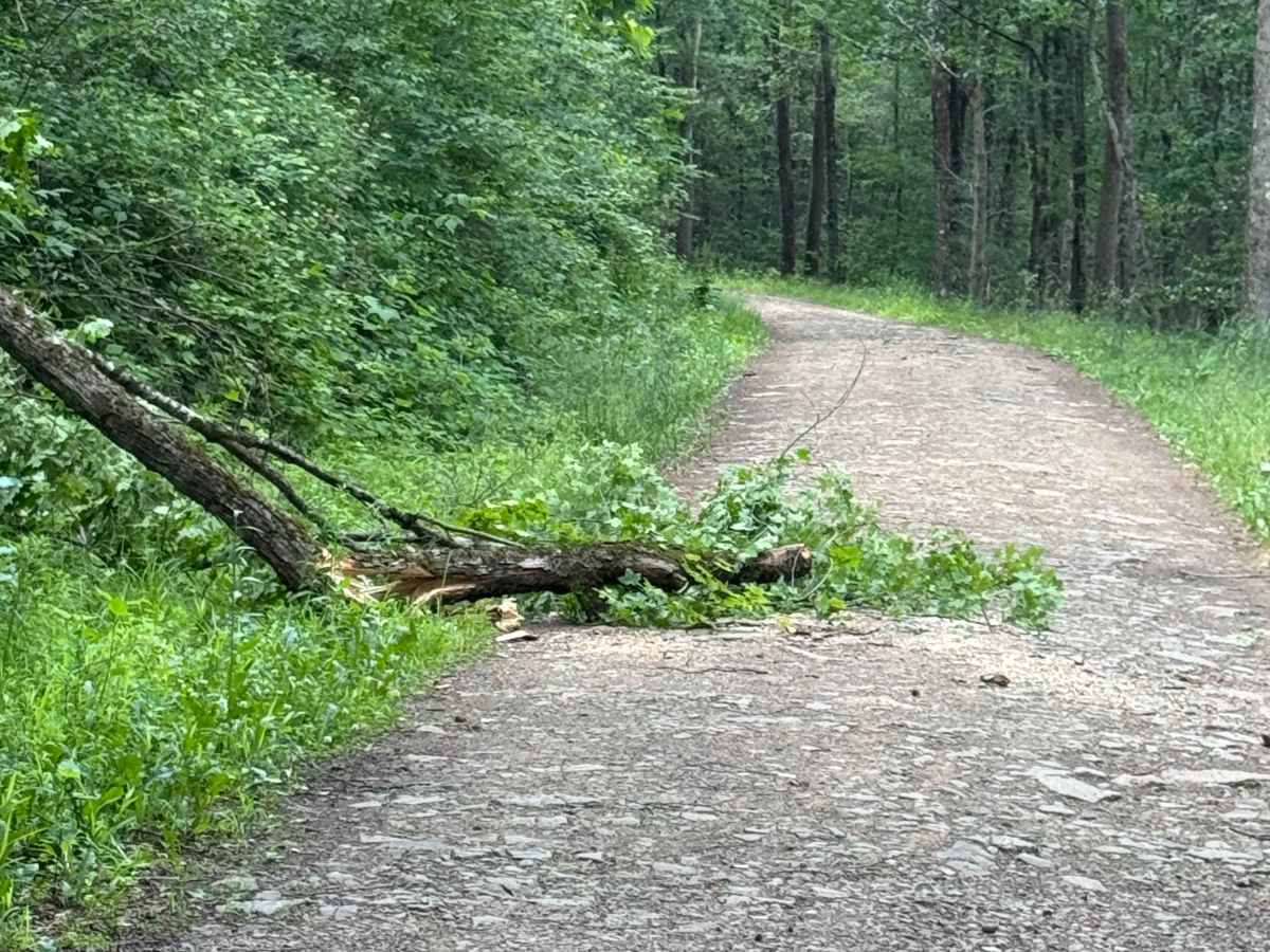 Nelson Run Road photo 6