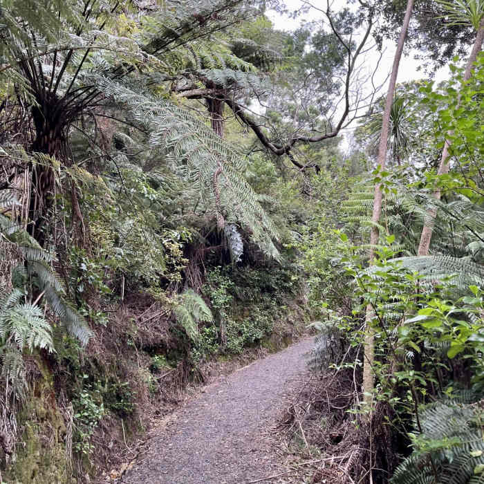 Near Pa Lookout Walk Near Pa Lookout Walk