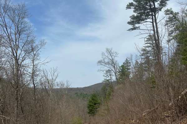 Alleghany Line Road