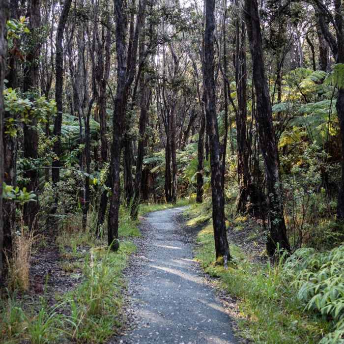 Near Devastation Trail Near Devastation Trail