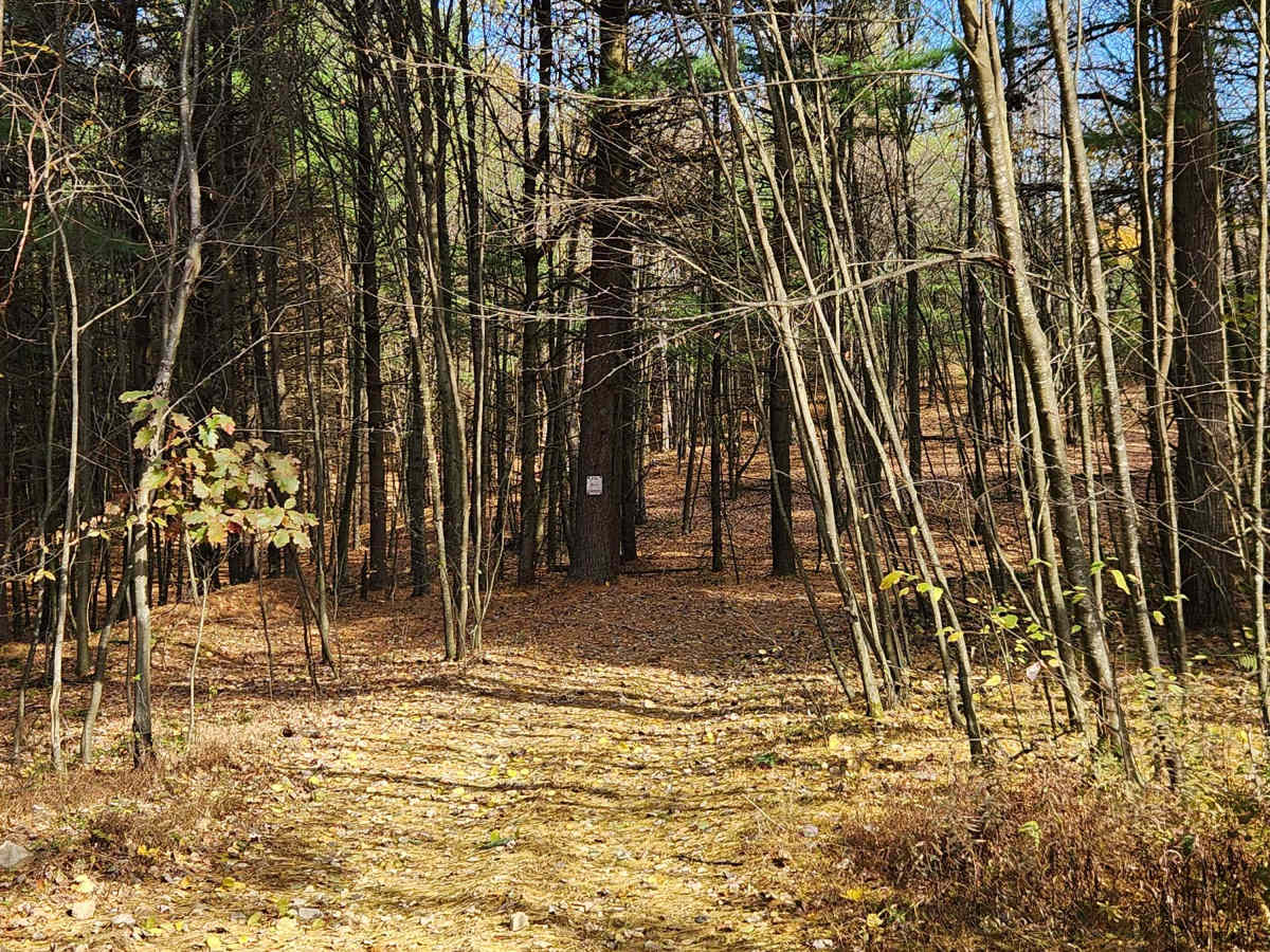OHV 7 - Rock Run Recreation Area trail photo