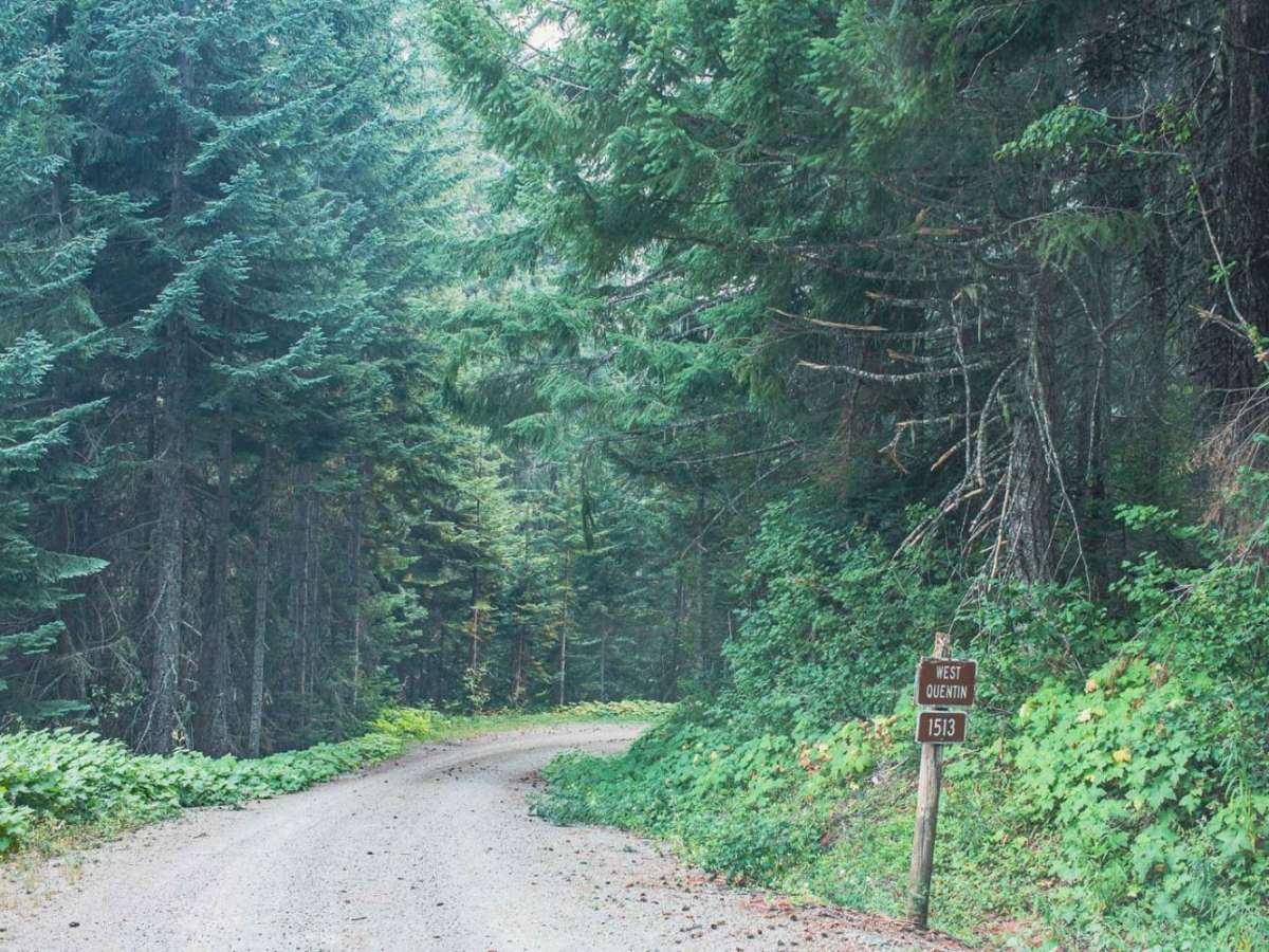 Quentin Creek trail photo