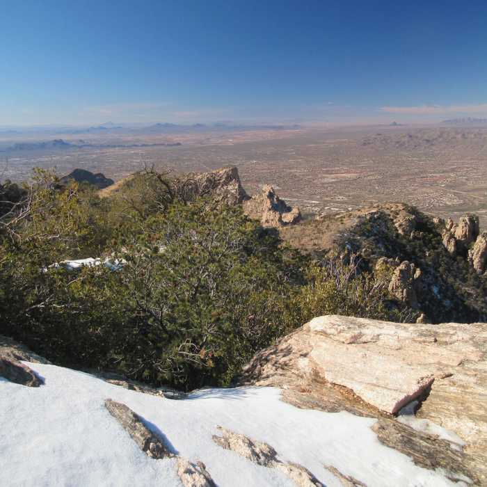 Near Pima Canyon Trail #62