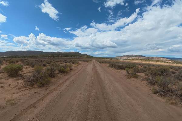 Cactus Park Road