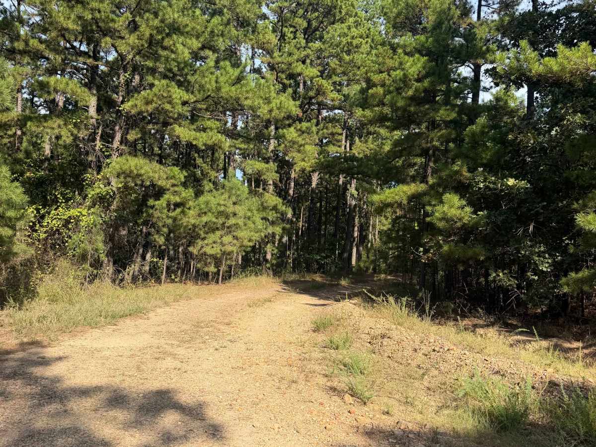 East Dry Run trail photo