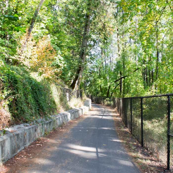 Near Middle Fork Path