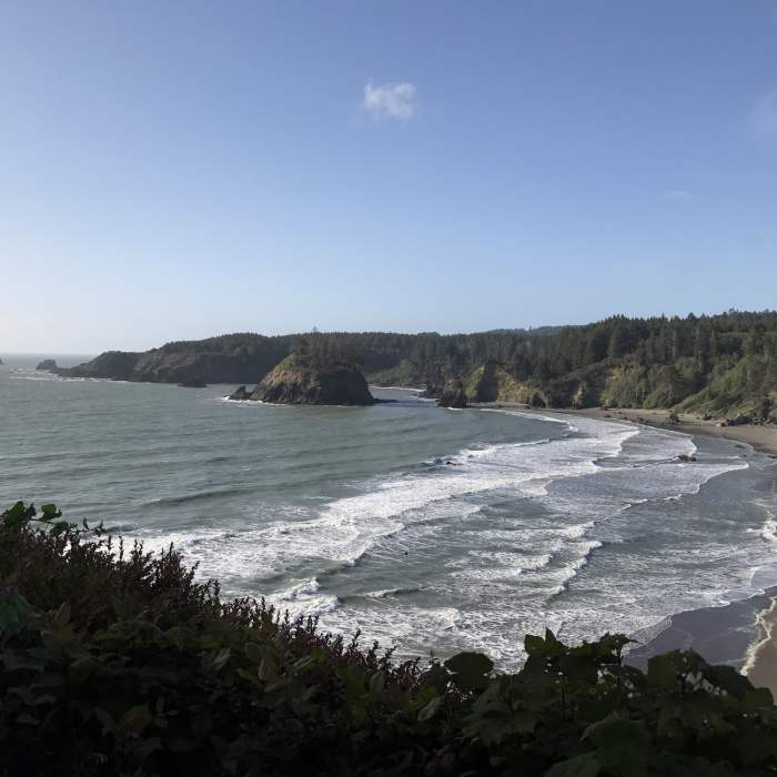 Near Trinidad Head Trail