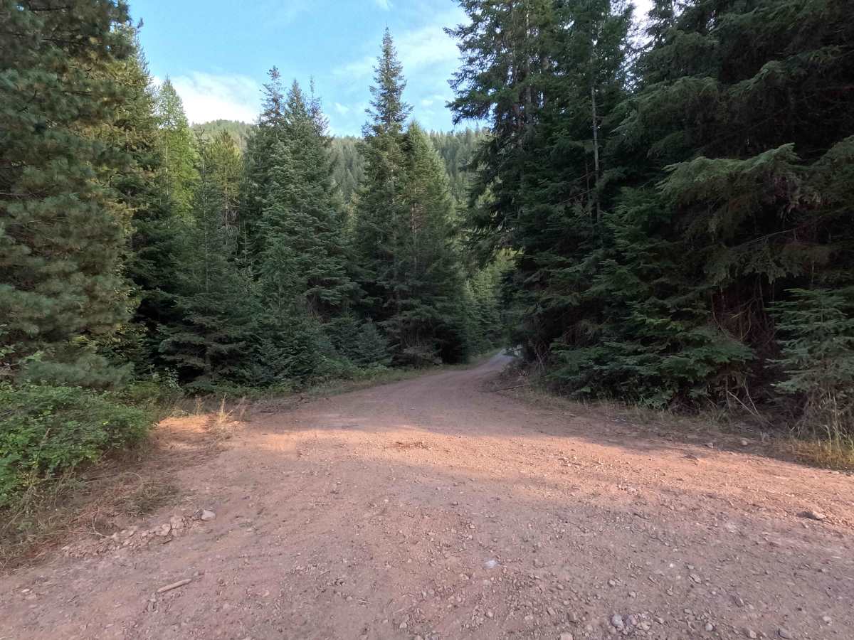 FS 5000032 trail photo