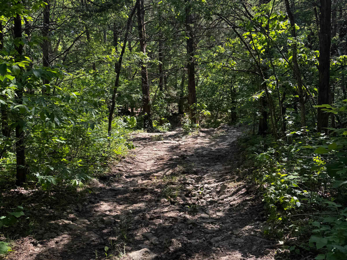 Cut 3 trail photo