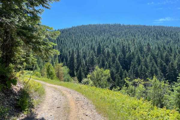 Deception Creek Circle