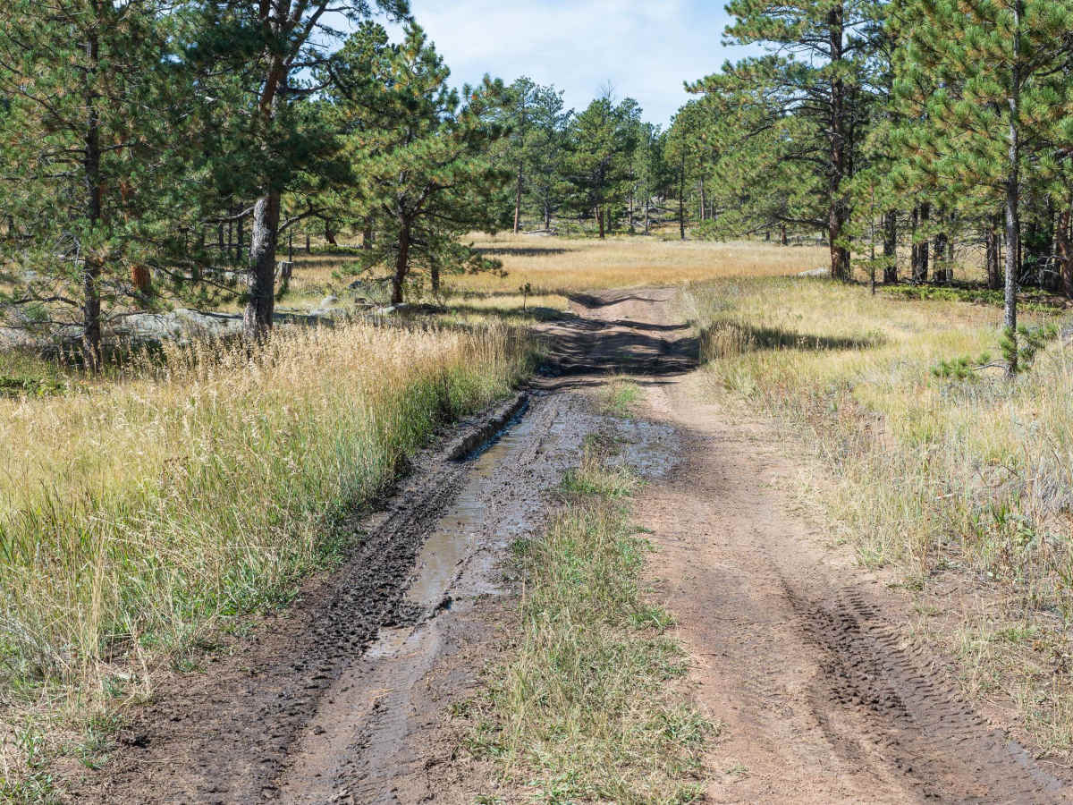 Forest Service Road 181D photo 5