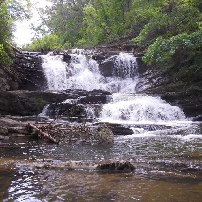Near Conasauga Falls Trail #170