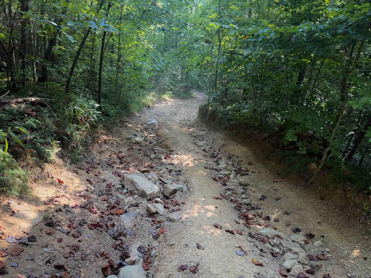 Pete Hollow Trail photo 2