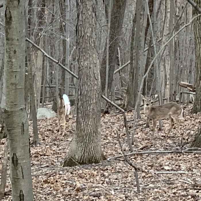 Near High Mountain Preserve Loop