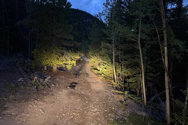 Paines Mountain Spur Road