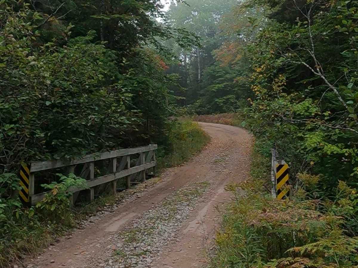 Paquinn Creek Road/ Sand Lake Road - FS 3374 (ORV Route A) photo 2