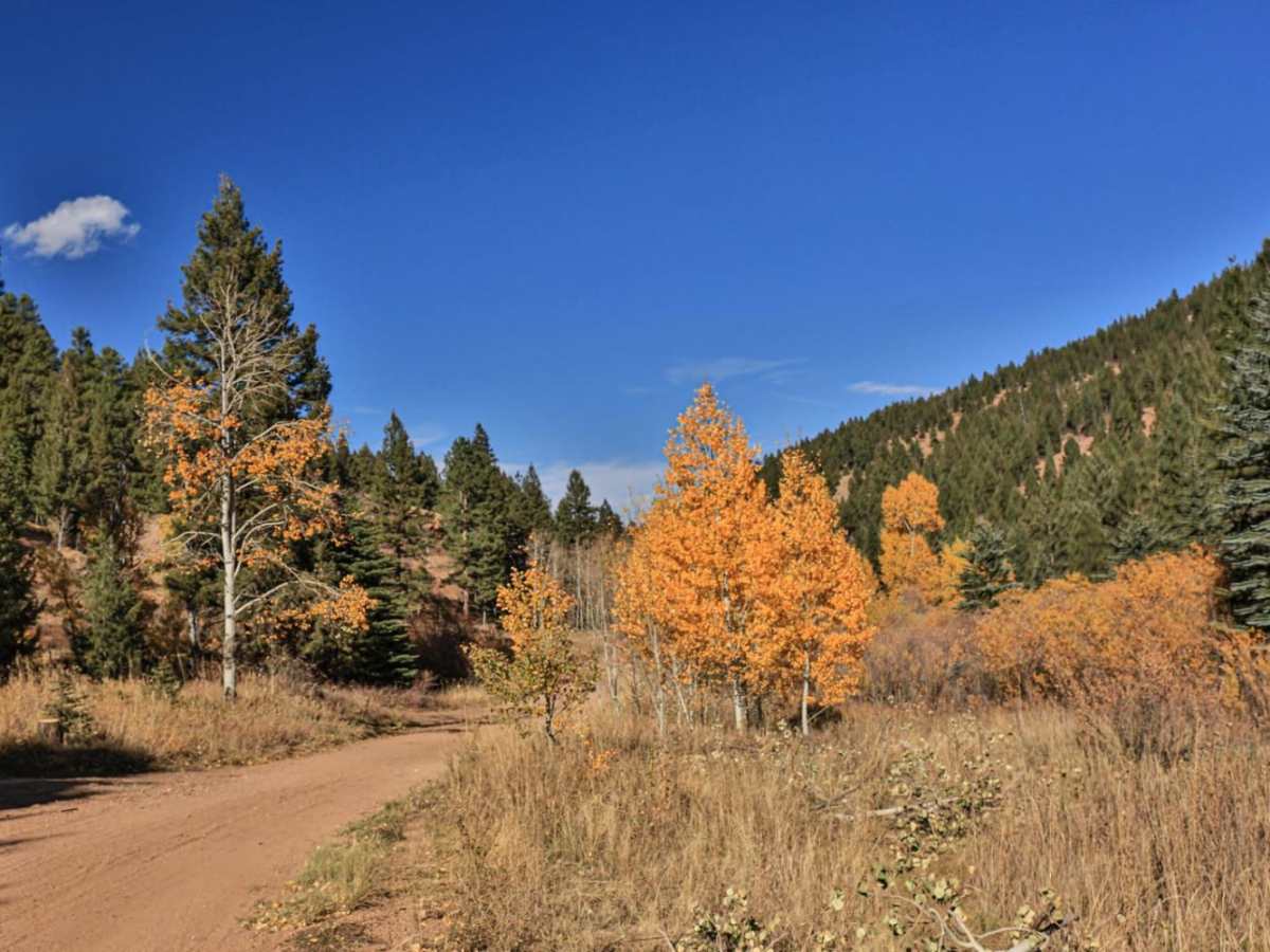 Jackson Creek South/ Watson Park photo 2