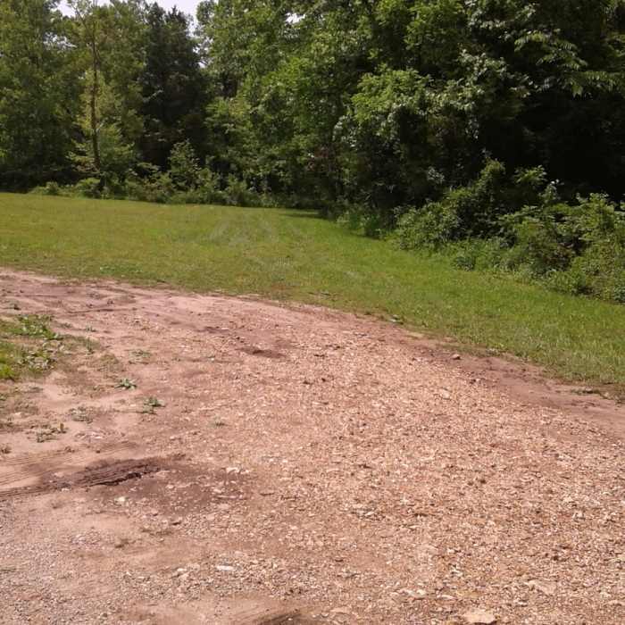 Near Alley Spring Mill Loop