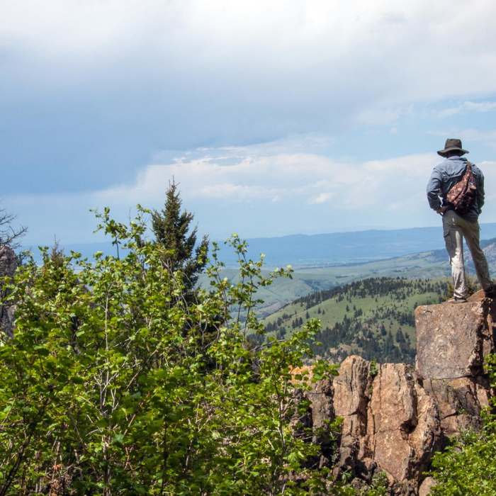 Near Chestnut Mountain