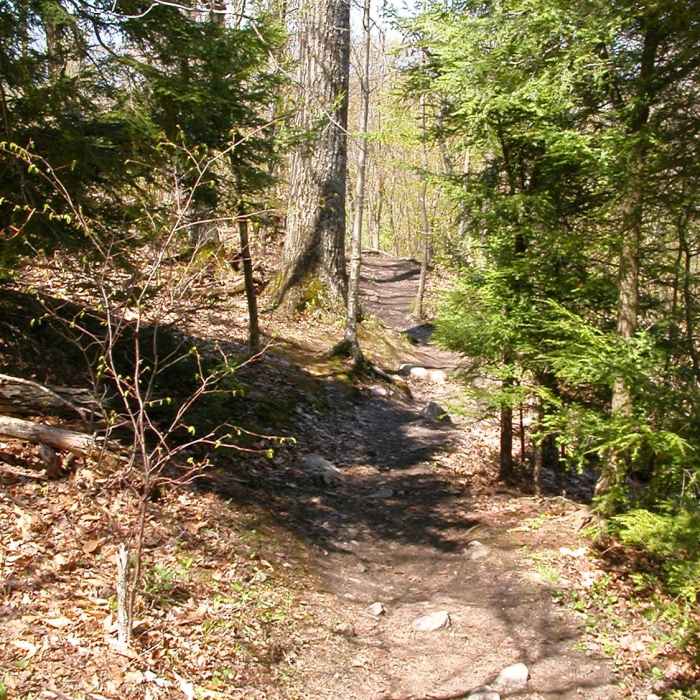 House Rock Trail Near Mount Philo Loop