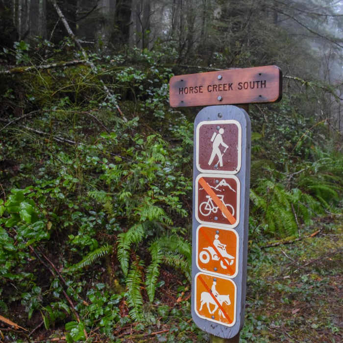 Near Horse Creek South Trail Hike