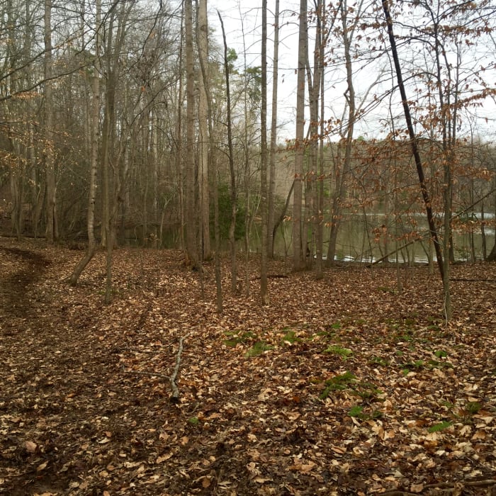 Near Lake Anna - Sawtooth, Big Woods & Turkey Run