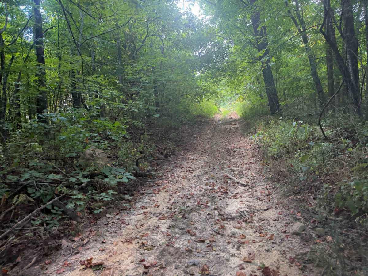 Tower Trail 30  photo 5
