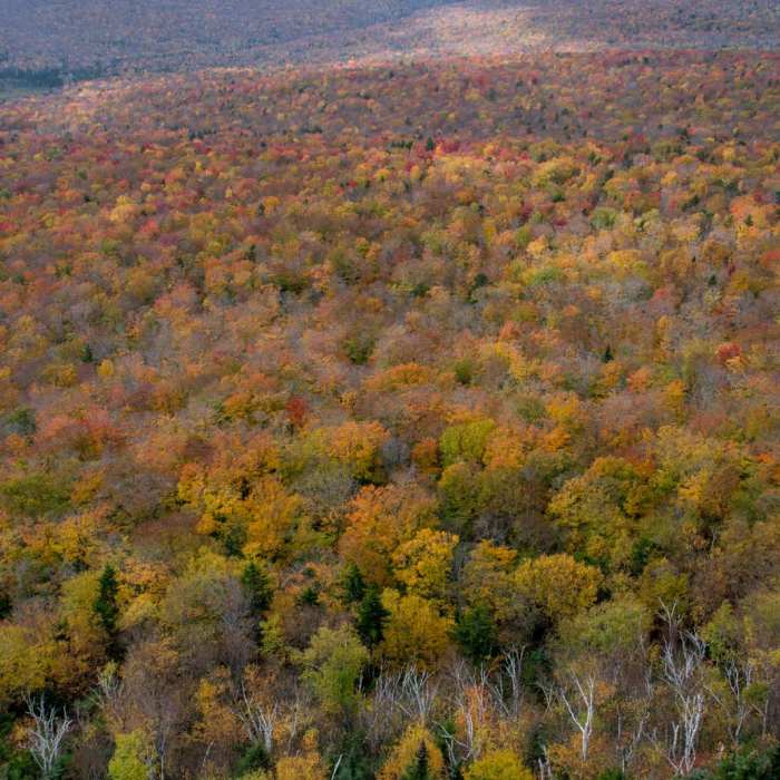 Near Mount Pemigewasset