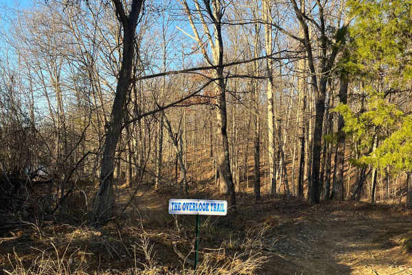 Overlook Trail
