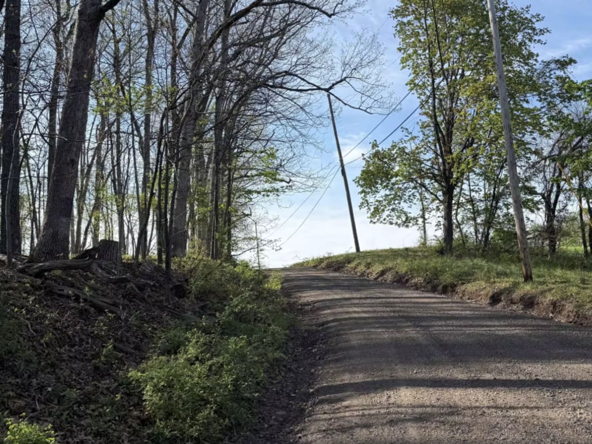 Oak Grove Road  photo 4