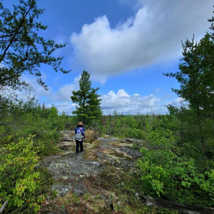 Near Snowbank Trail