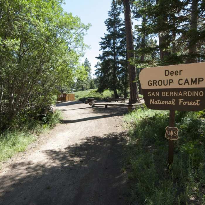 Near Grand View Point Hike