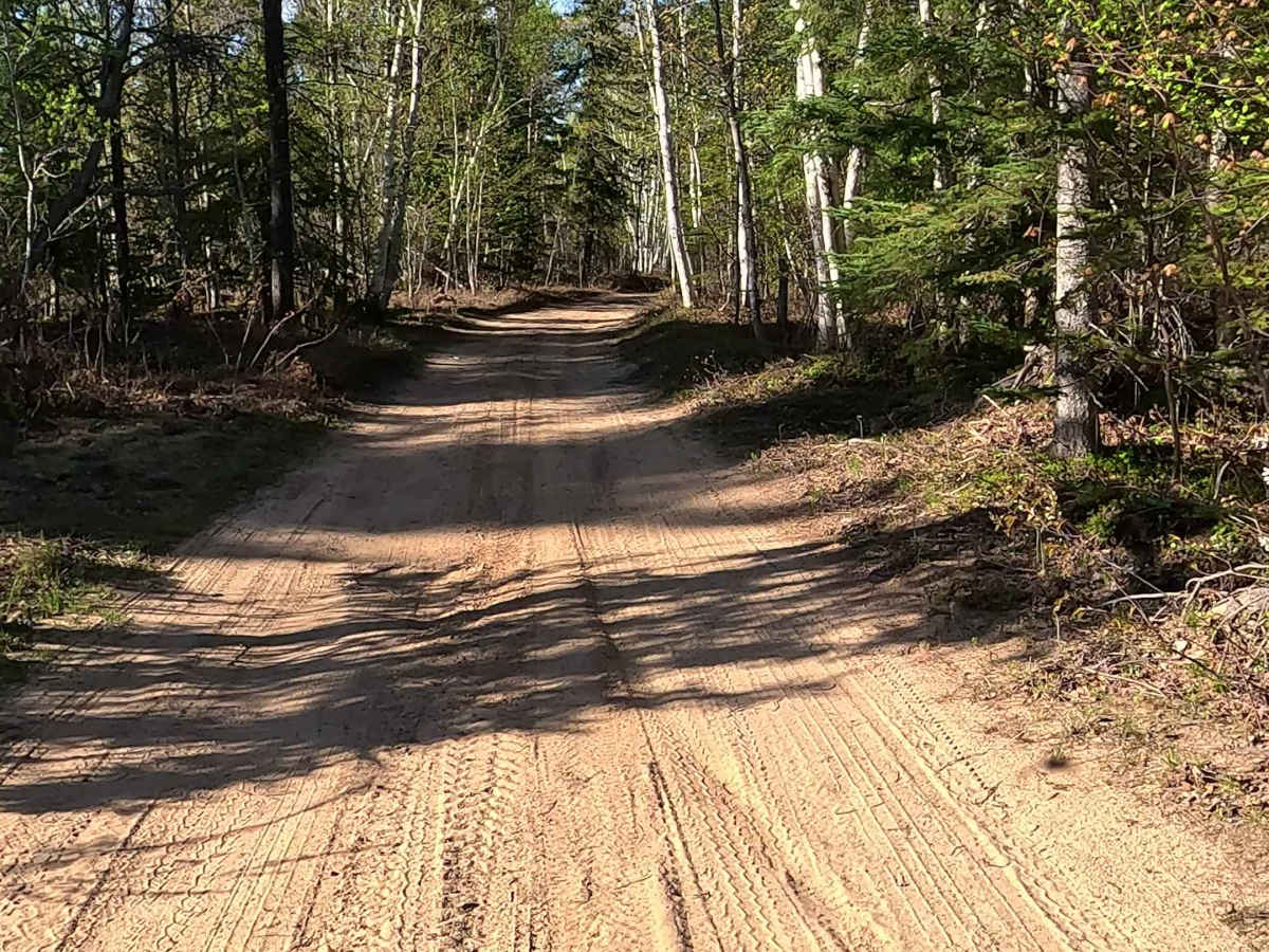 North Brooks Road photo 2