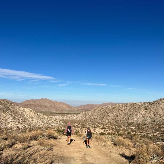 Near Pinyon Mountains Loop Near Pinyon Mountains Loop