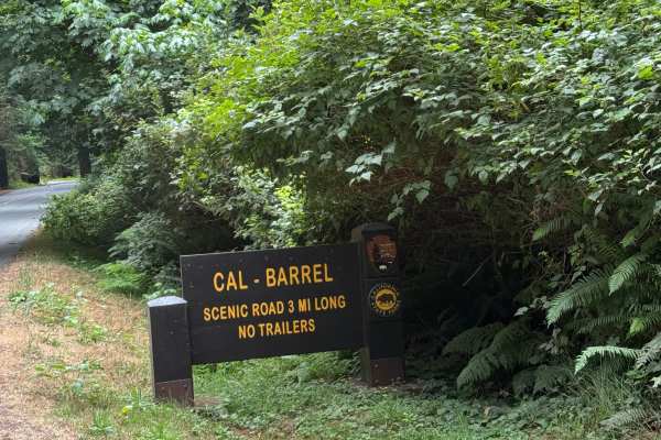 Cal Barrel - Redwood National Park