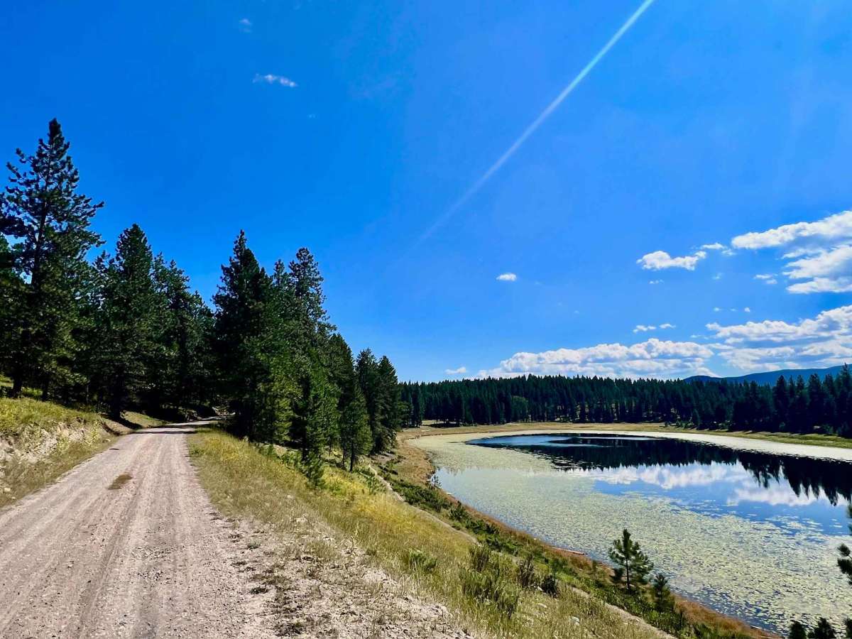 Wapiti Lake via Shelbourn trail photo