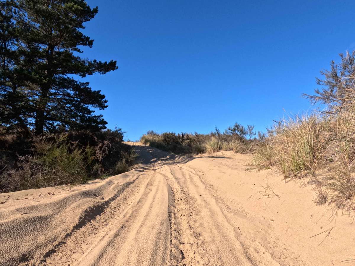 Bark OHV Trail - 1342 photo 2