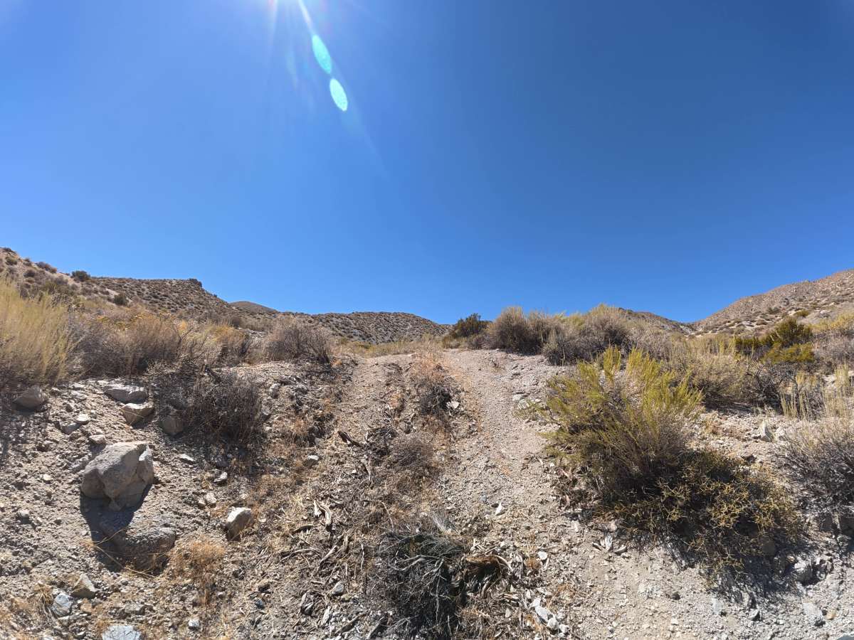 BLM 541 photo 6