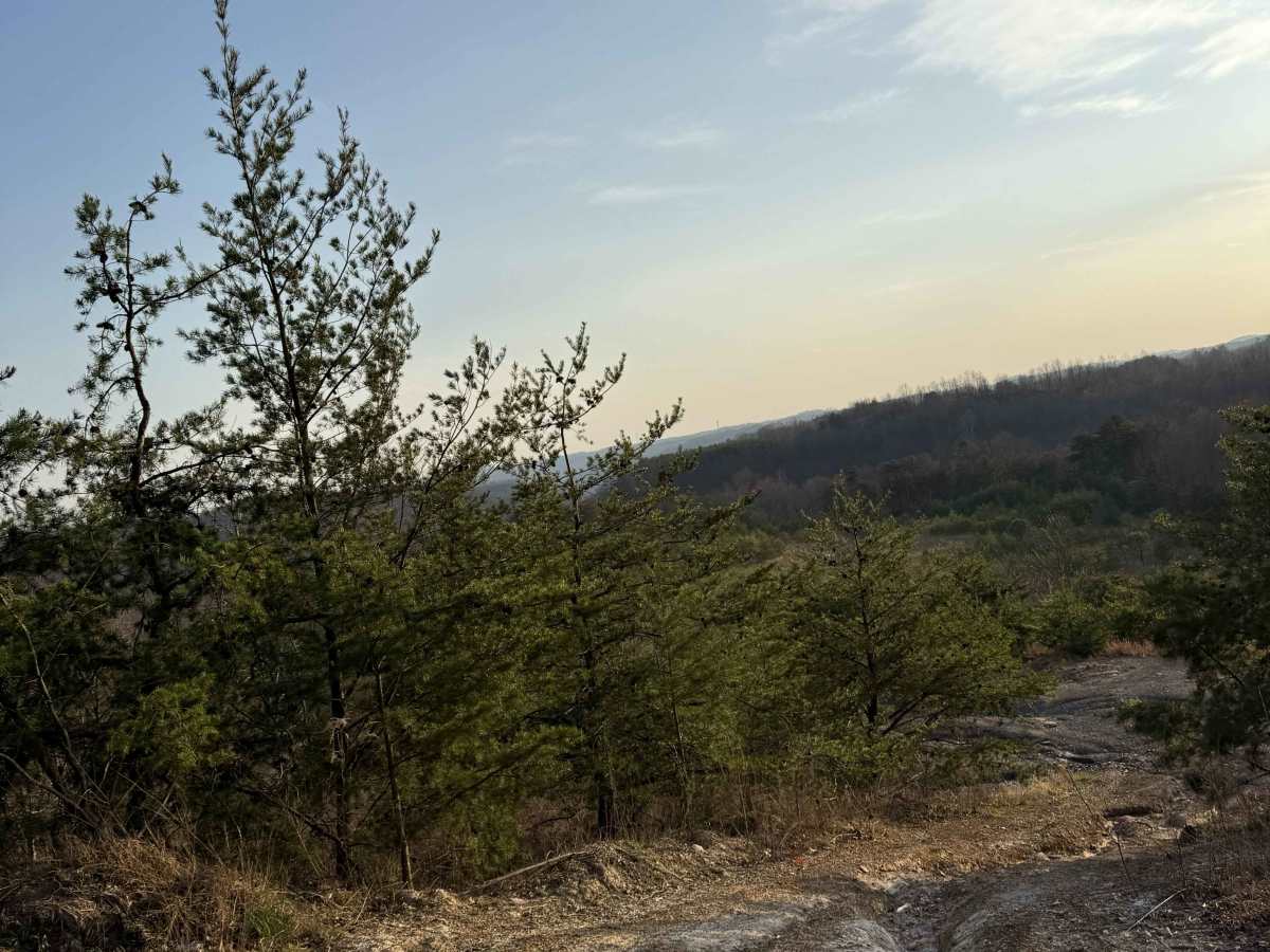 Q33 trail photo