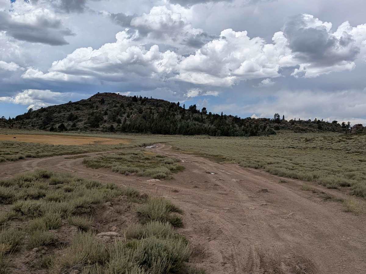 Big Spring Road West - FS 31083 photo 4