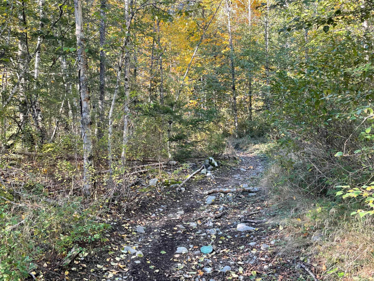 Wayne's World trail photo