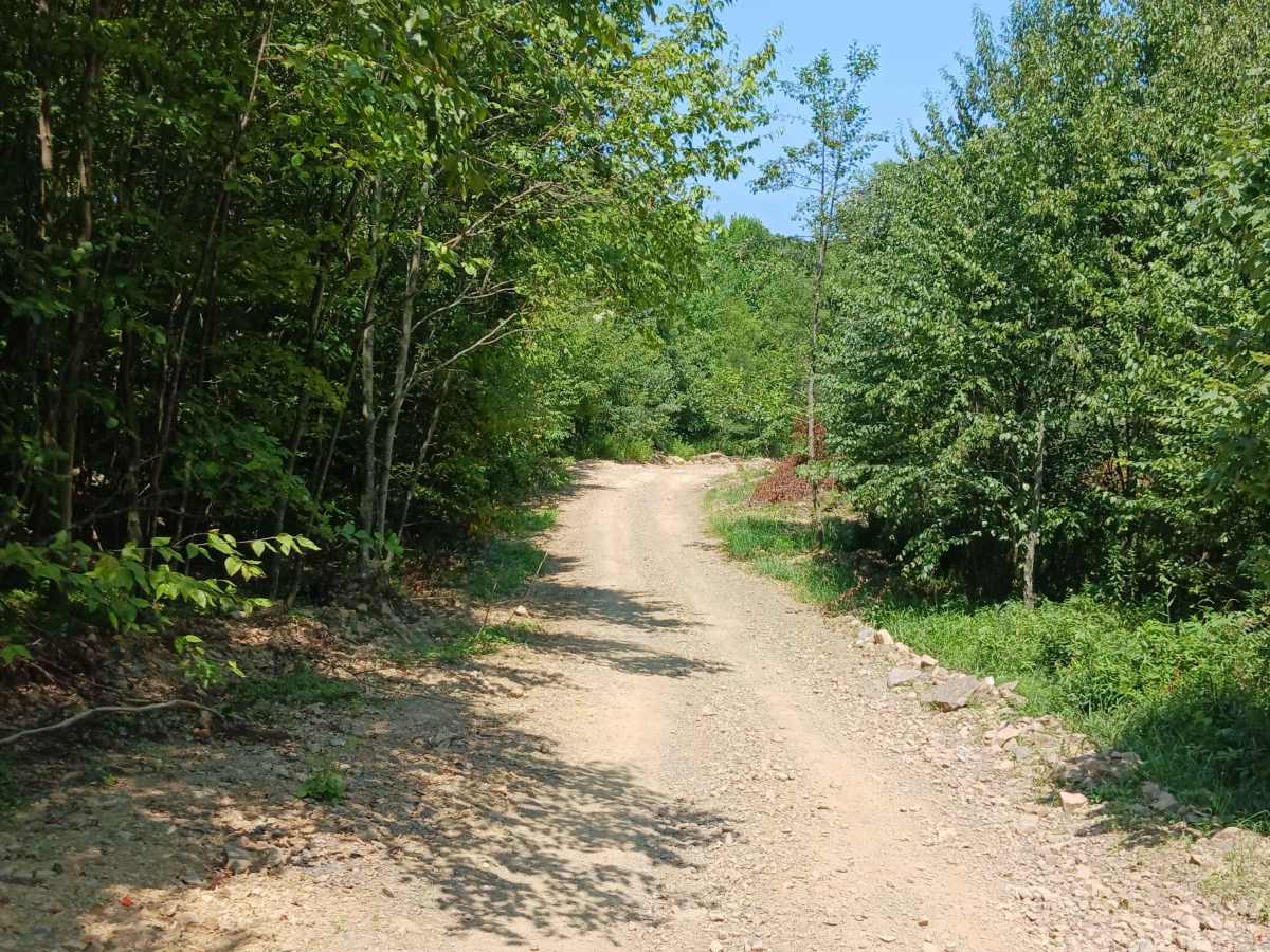 Short Lane - Rock Run Recreation Area photo 2