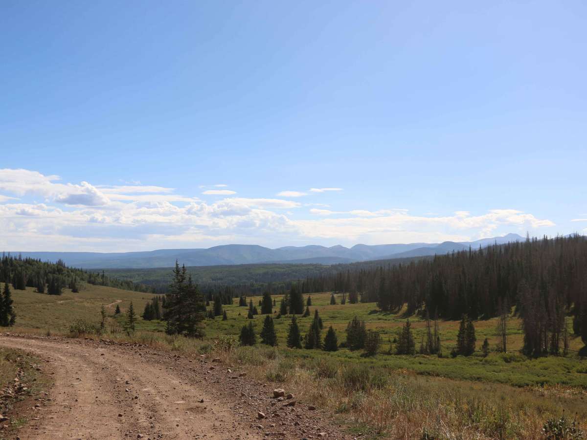 Meadow Creek - FS 80071 photo 3