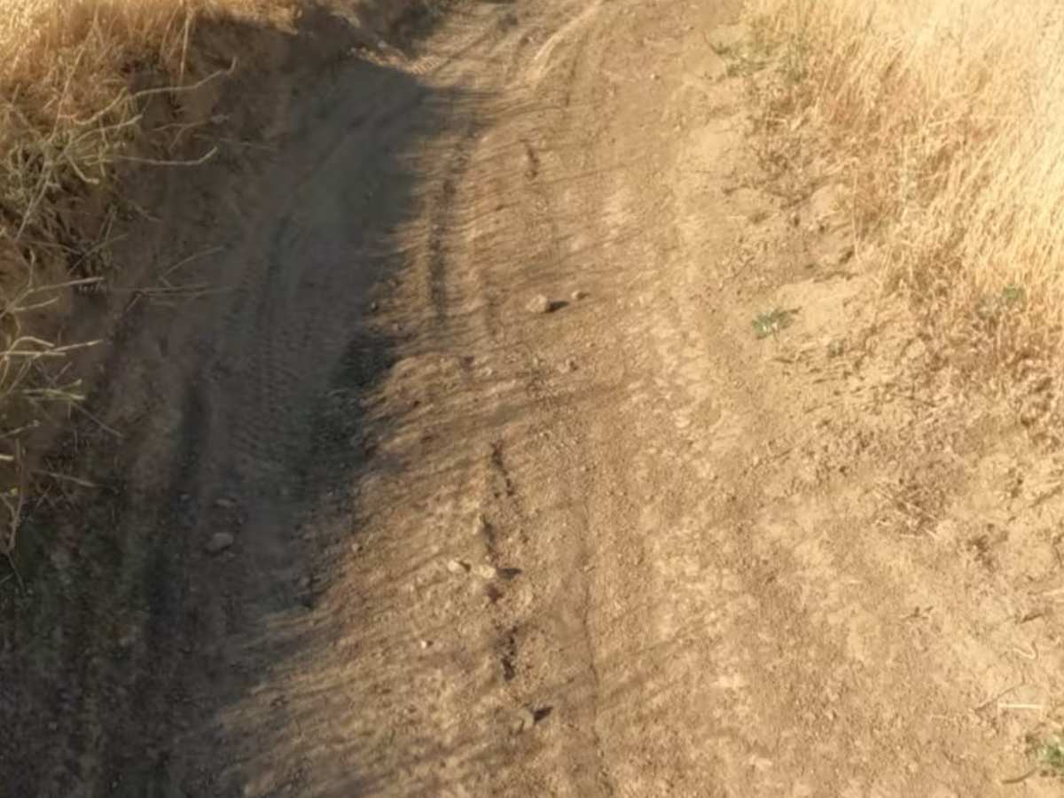 Sri Loop photo 3