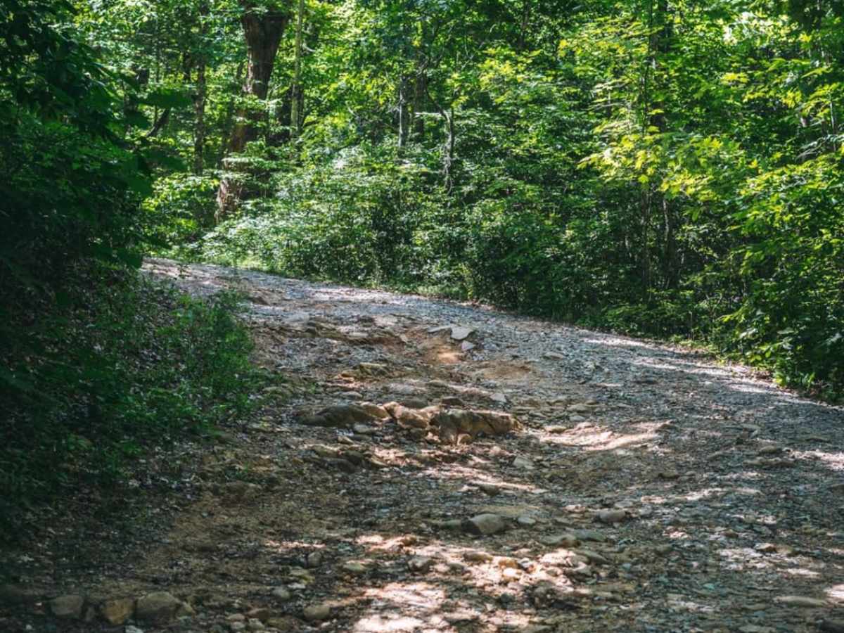 Bush Head Gap Road photo 5