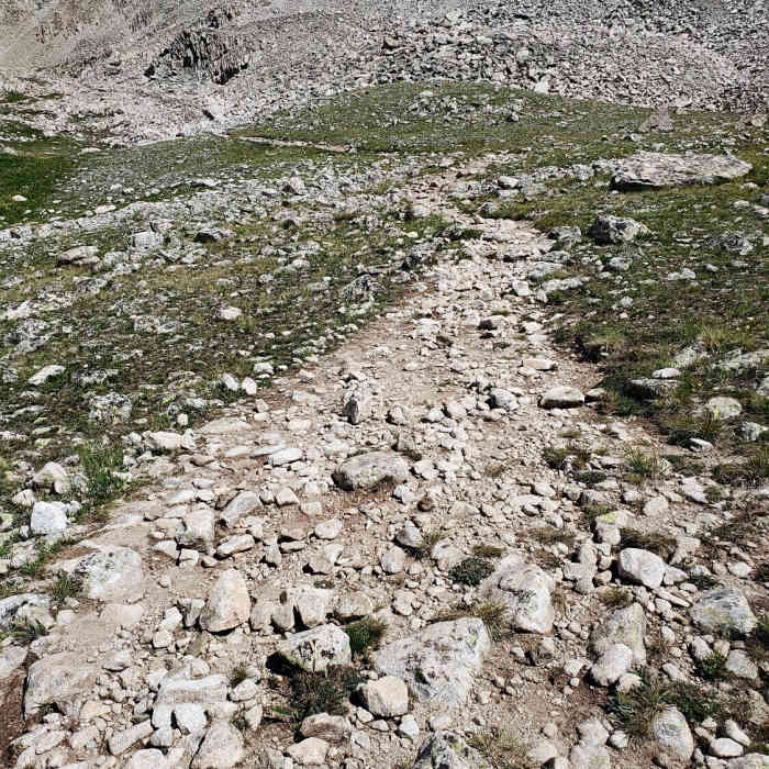 Near Mt. Harvard