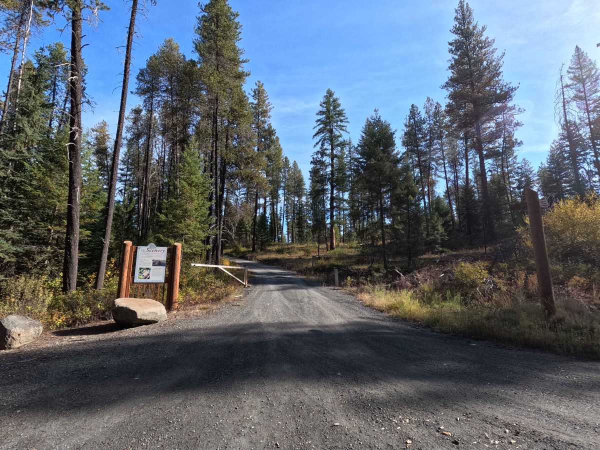 Rookery Road trail photo