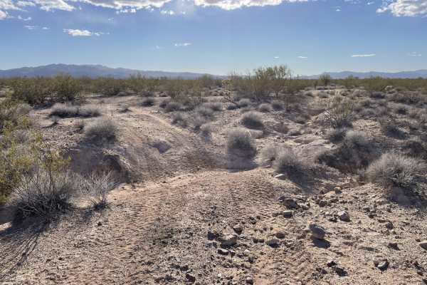 Where Did The Trail Go