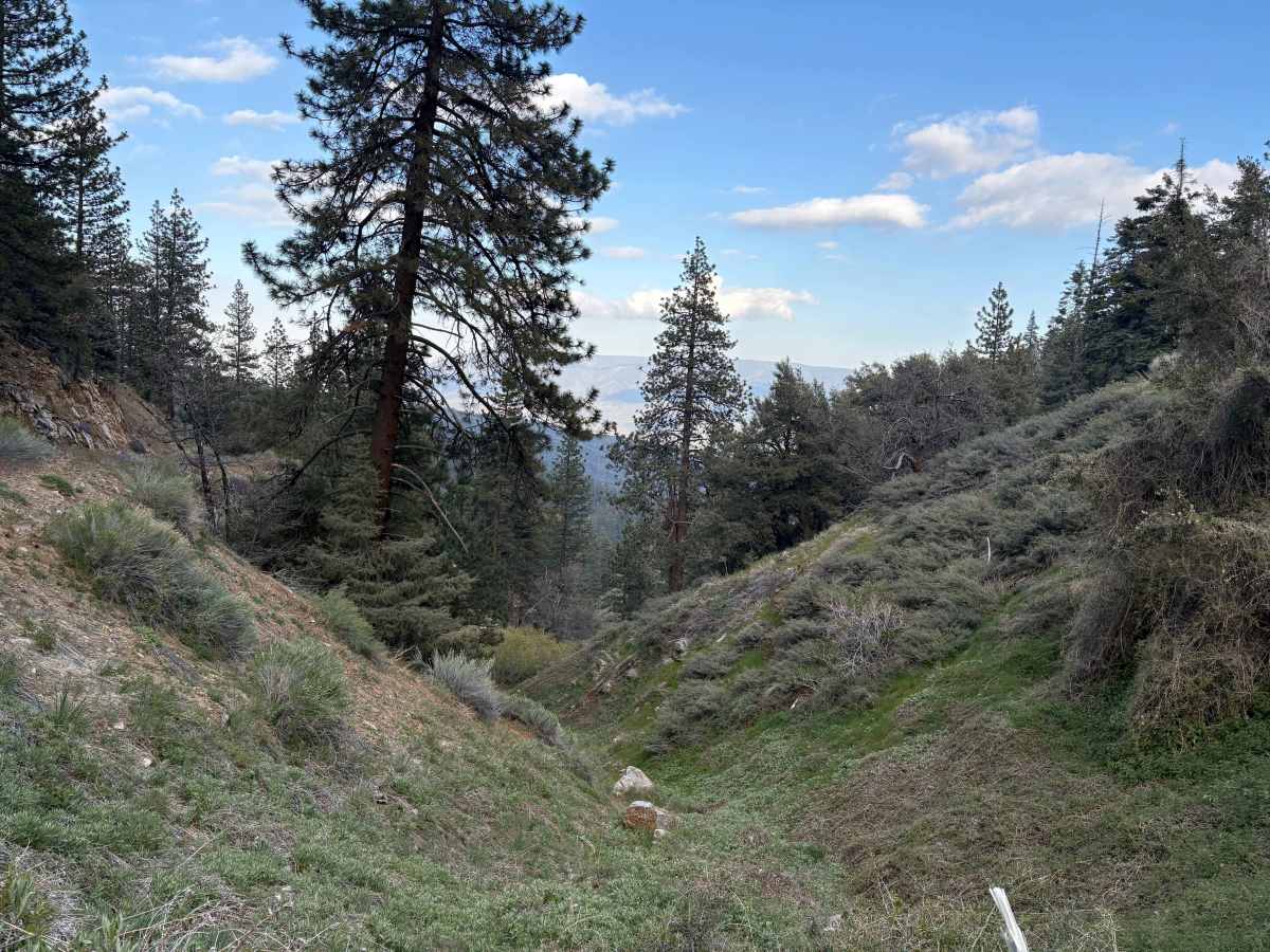 Mill Canyon - FS 9N04 photo 3