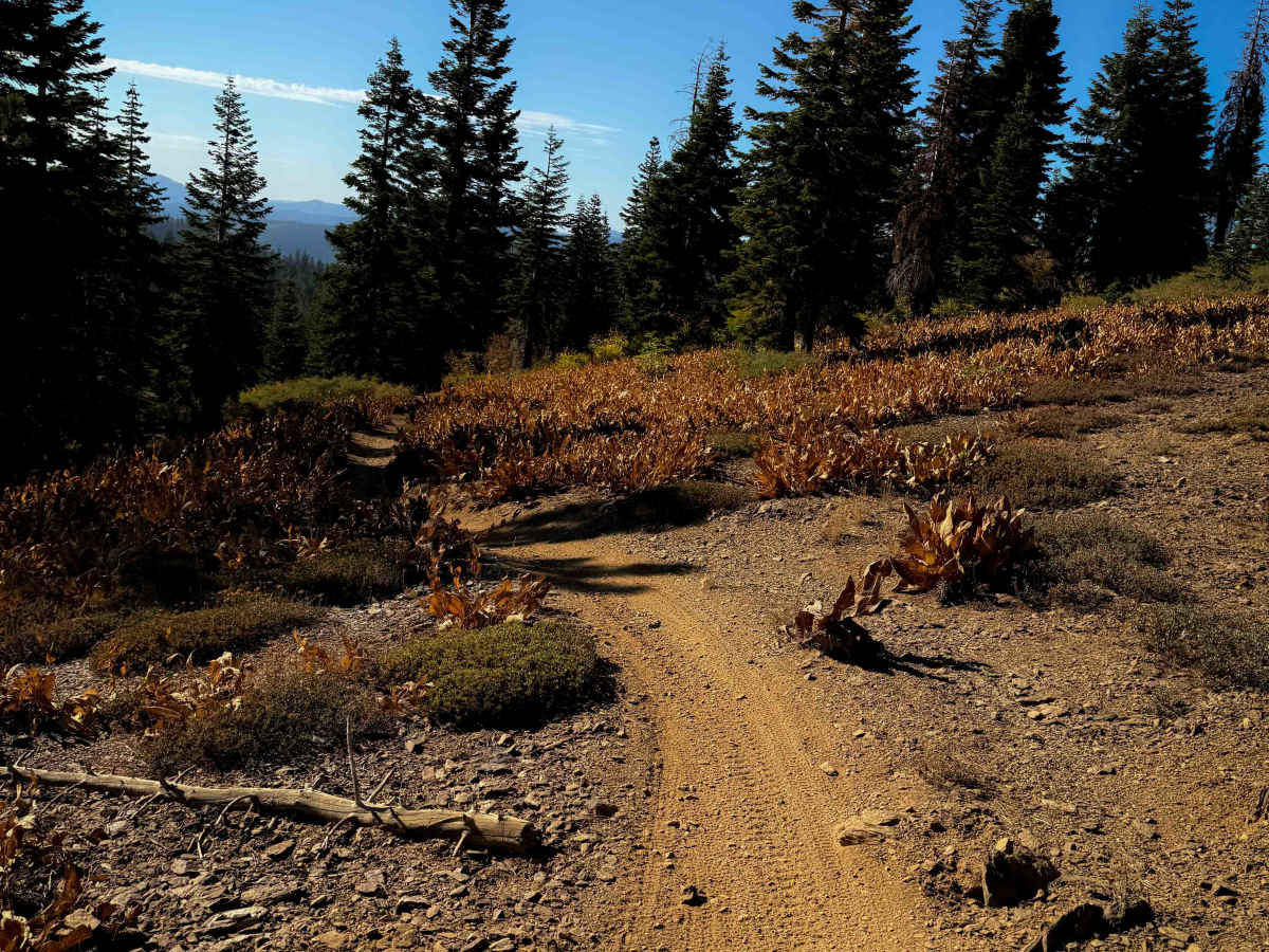 Pack Saddle Loop  photo 5